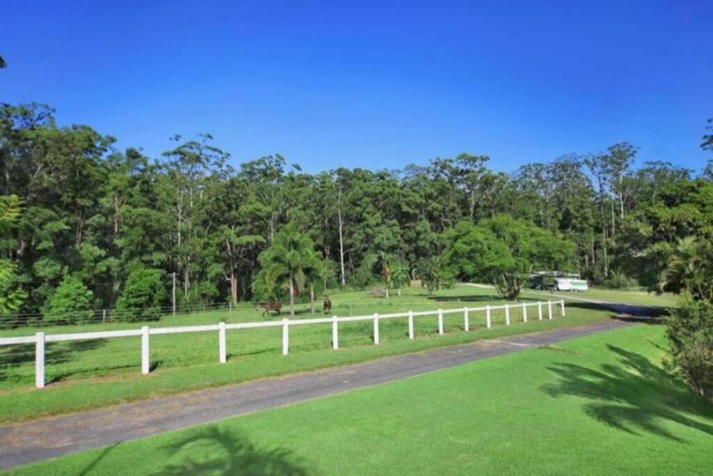 Cabin Country Retreat Paskins Farm Palmwoods Ngoại thất bức ảnh